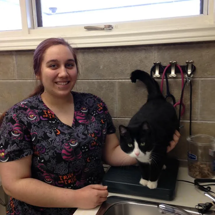 Veterinary Technician Services, LLC