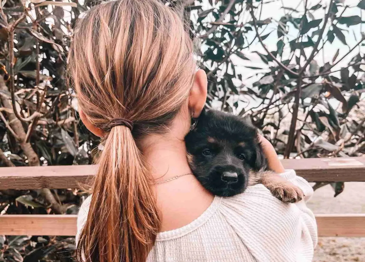 Oahu German Shepherds