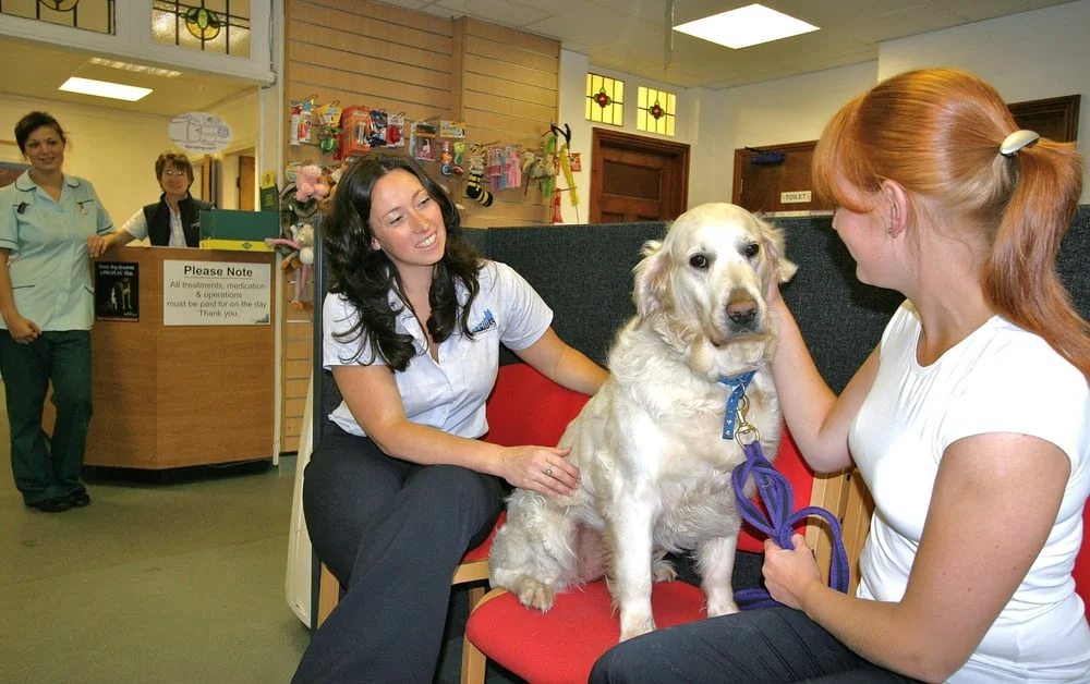 Clent Hills Vet Group
