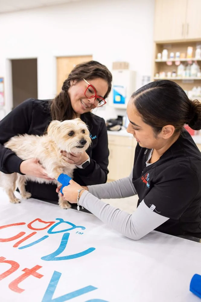 UrgentVet - Boca Raton