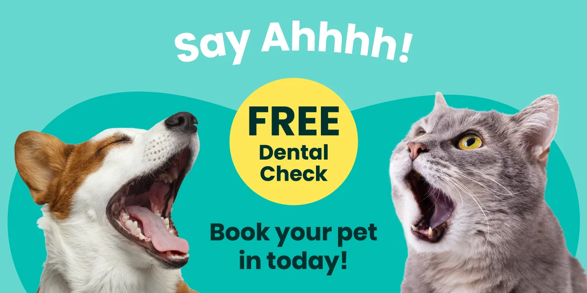 Blockhouse Bay Veterinary Centre