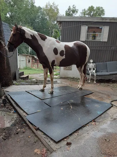 Allatoona Animal Hospital