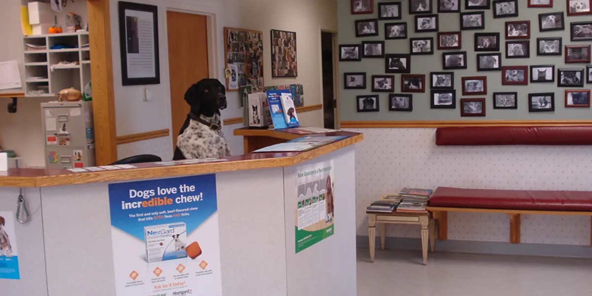 North Shore Family Pet