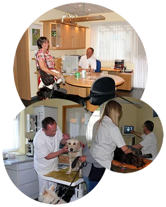 Tierarztpraxis Dr. Rudolf-Peter Busert