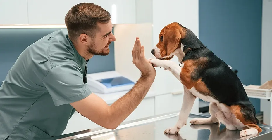 Fullerton Pet Clinic