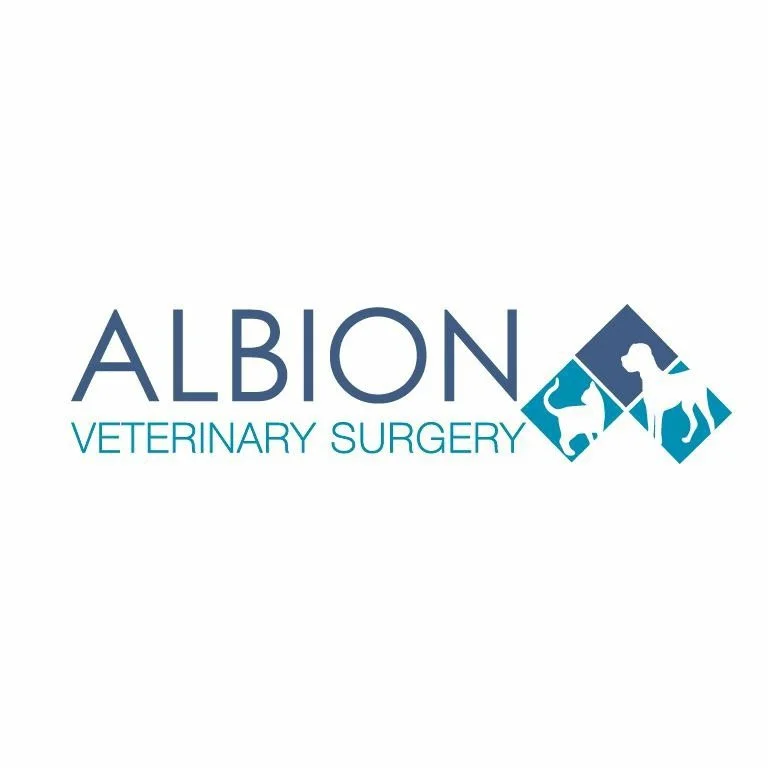 Albion Veterinary Surgery