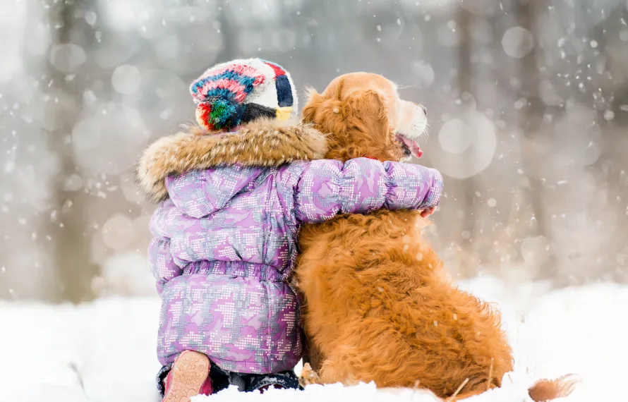 Apollo Animal Hospital