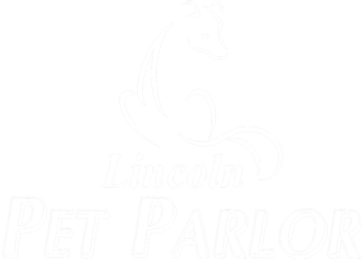 Veterinary Emergency Services Of Lincoln