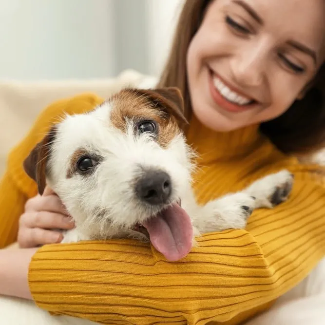 Hackett Animal Clinic