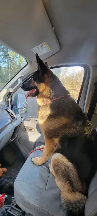 Animal Surgical & Orthopedic Center