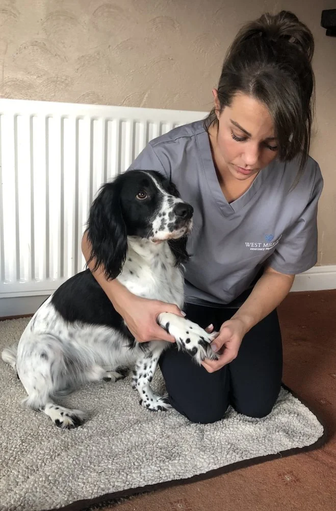 West Midland Veterinary Physiotherapy