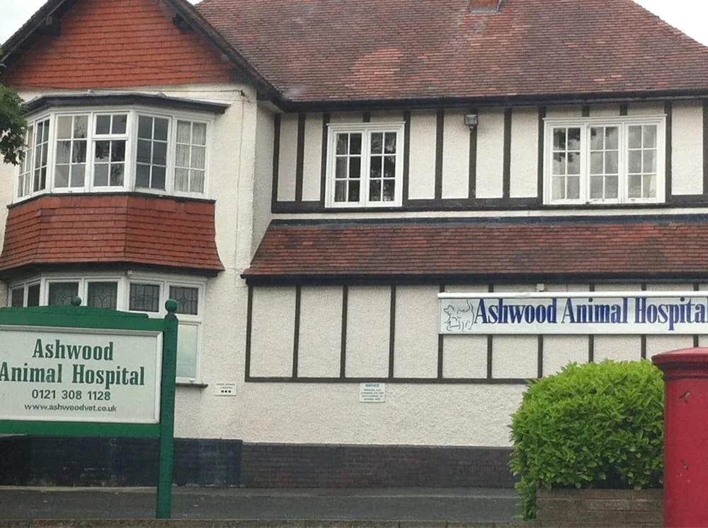 Ashwood Animal Hospital
