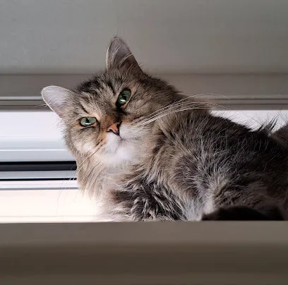 Lomas Veterinary Clinic