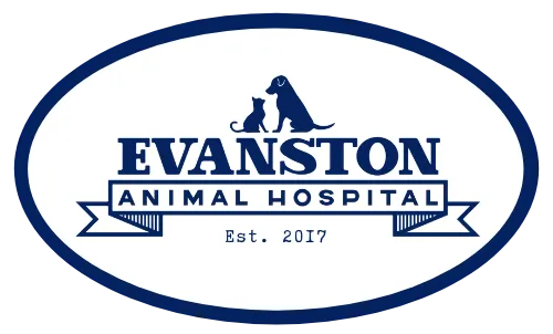 Evanston Animal Hospital
