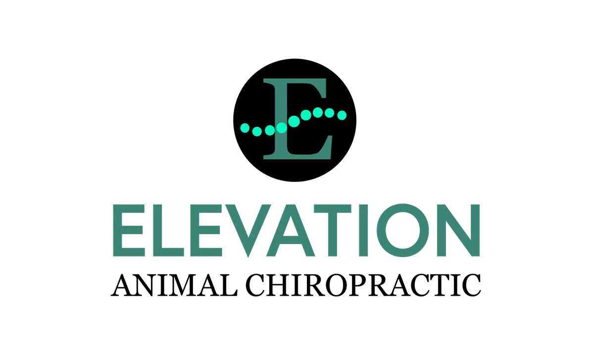 Elevation Animal Chiropractic