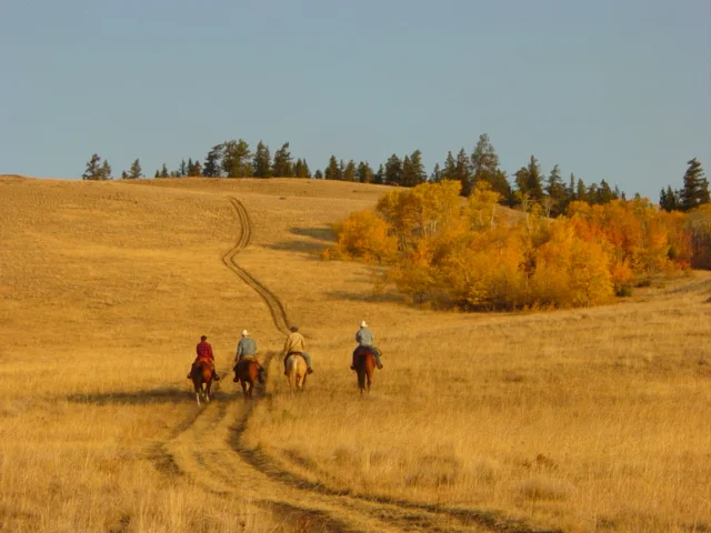 Ranchland Veterinary