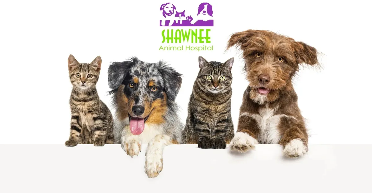 Shawnee Animal Hospital