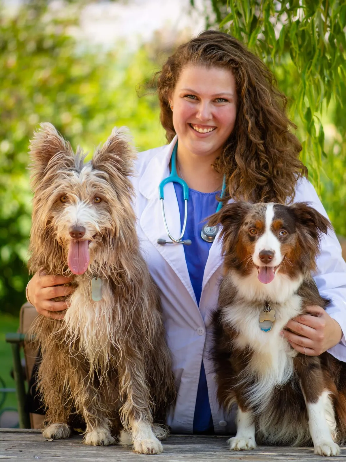 Animal Clinic of East Avenue