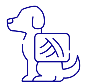 Kleintierpraxis Schweiger