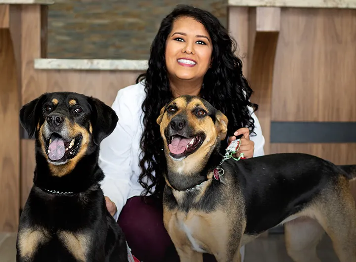 Valley Veterinary Care