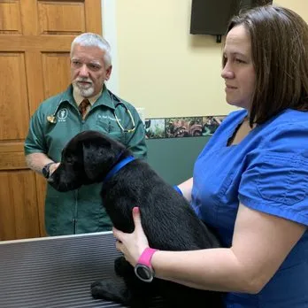 Dawsonville Veterinary Hospital