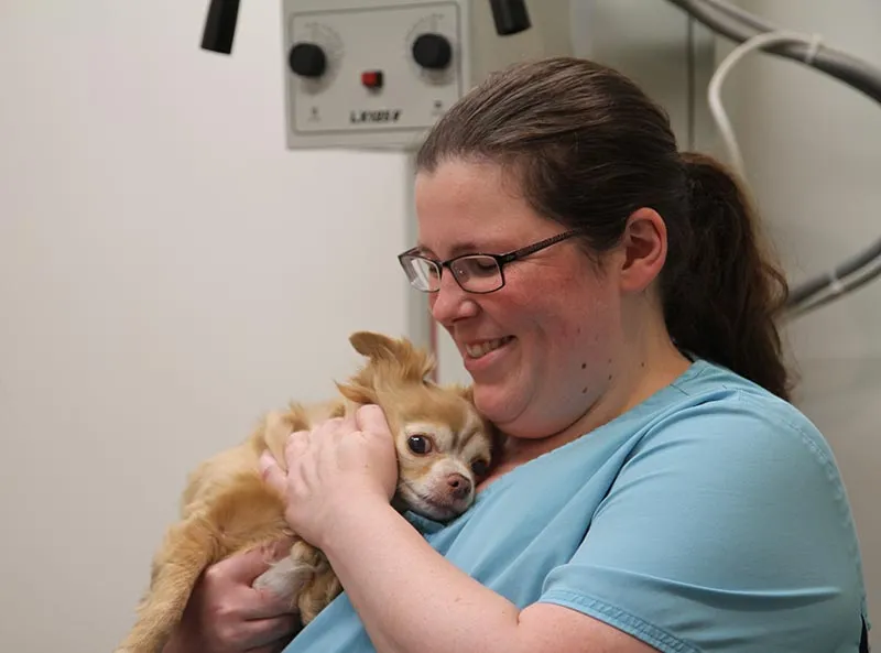 Bethel Animal Hospital