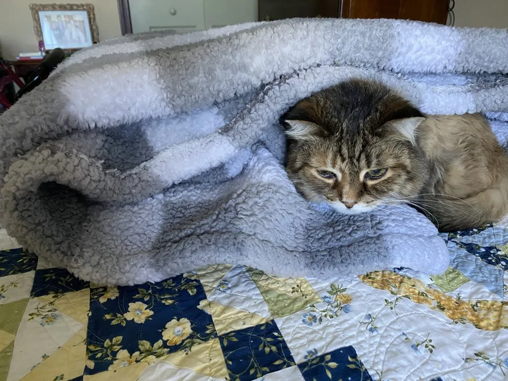 A Peaceful Return To Eden