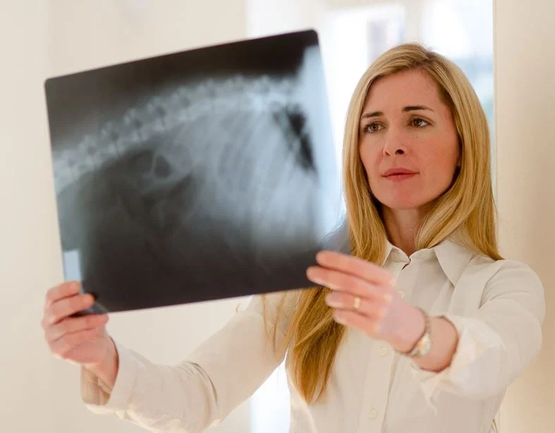 Tierarztpraxis Besserer