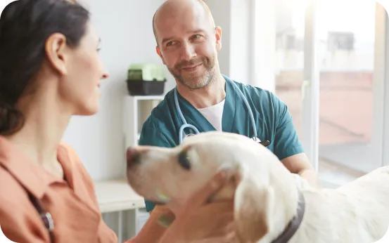 West Main Animal Hospital