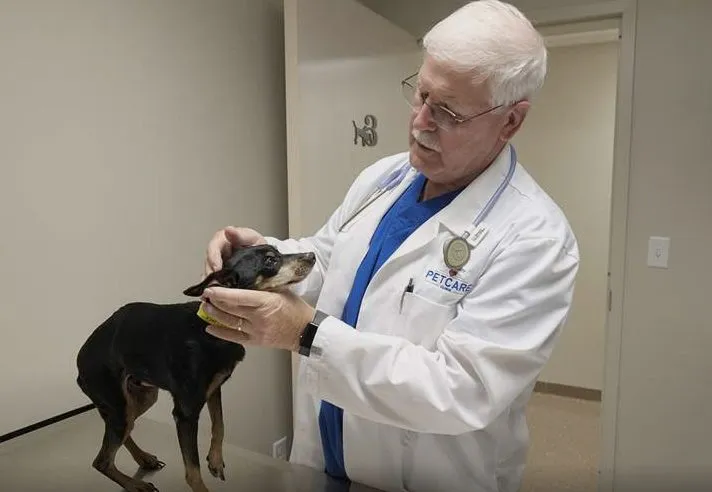 Fetch! Pet Care - Toledo