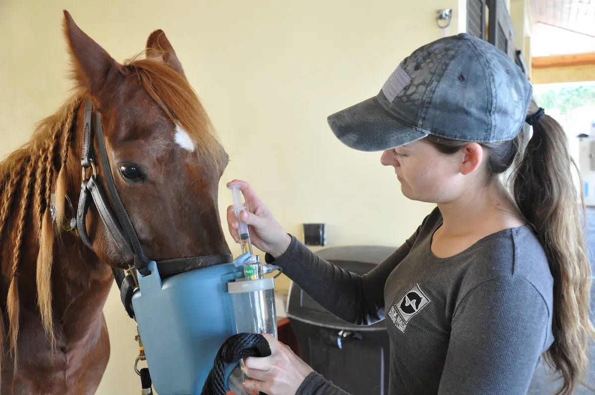 Heritage Equine Clinic