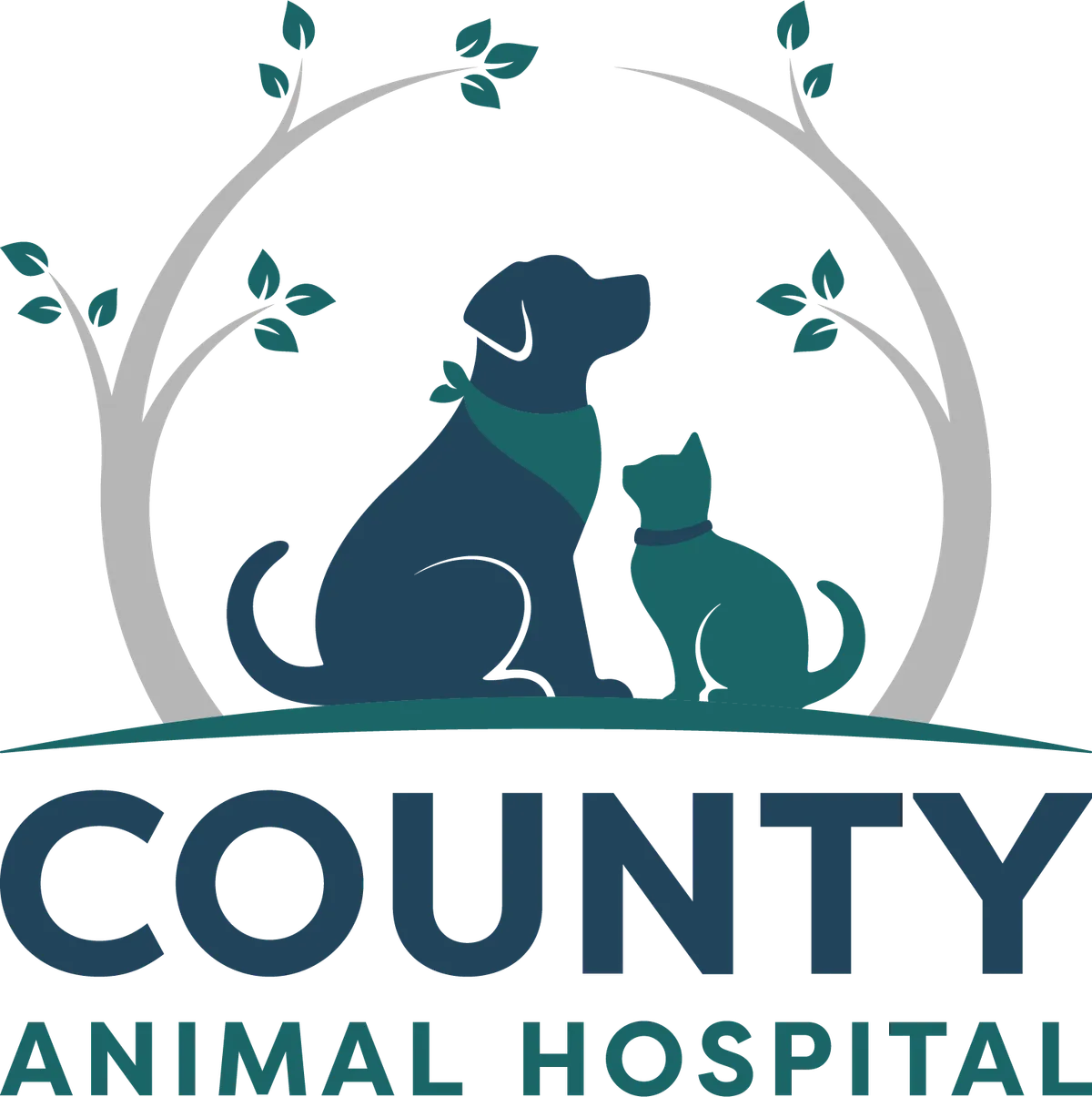 County Animal Hospital