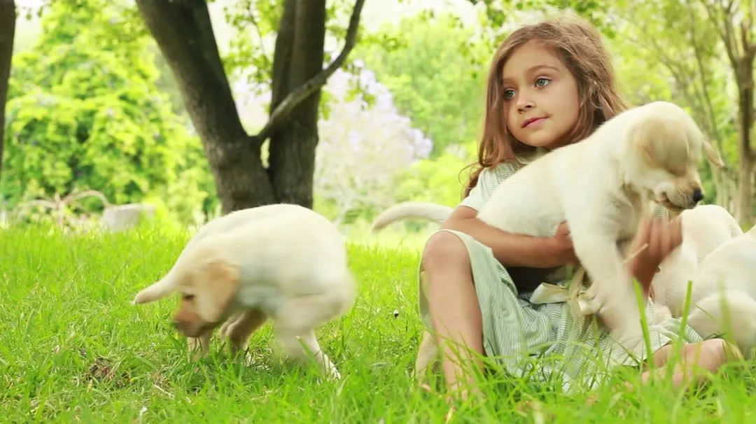 SpecialPets Healthcare Center