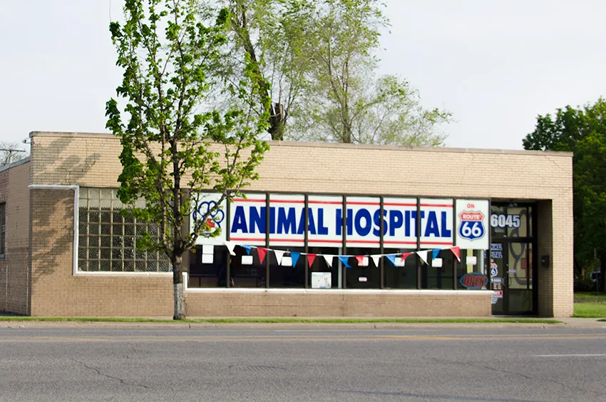 Animal Hospital On Route 66