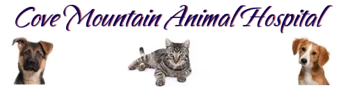 River Cove Animal Hospital