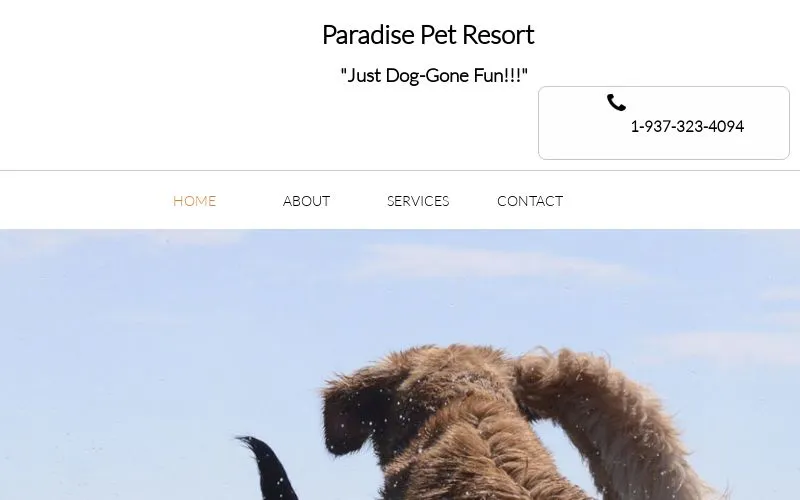 Paradise Pet Resort