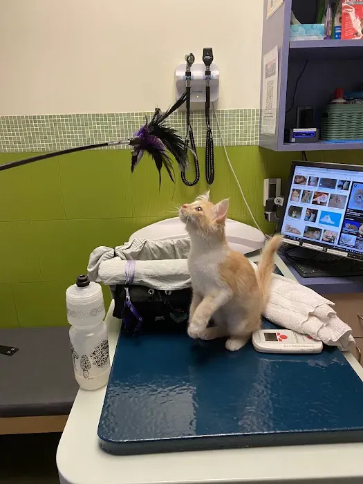 Rose City Veterinary Hospital