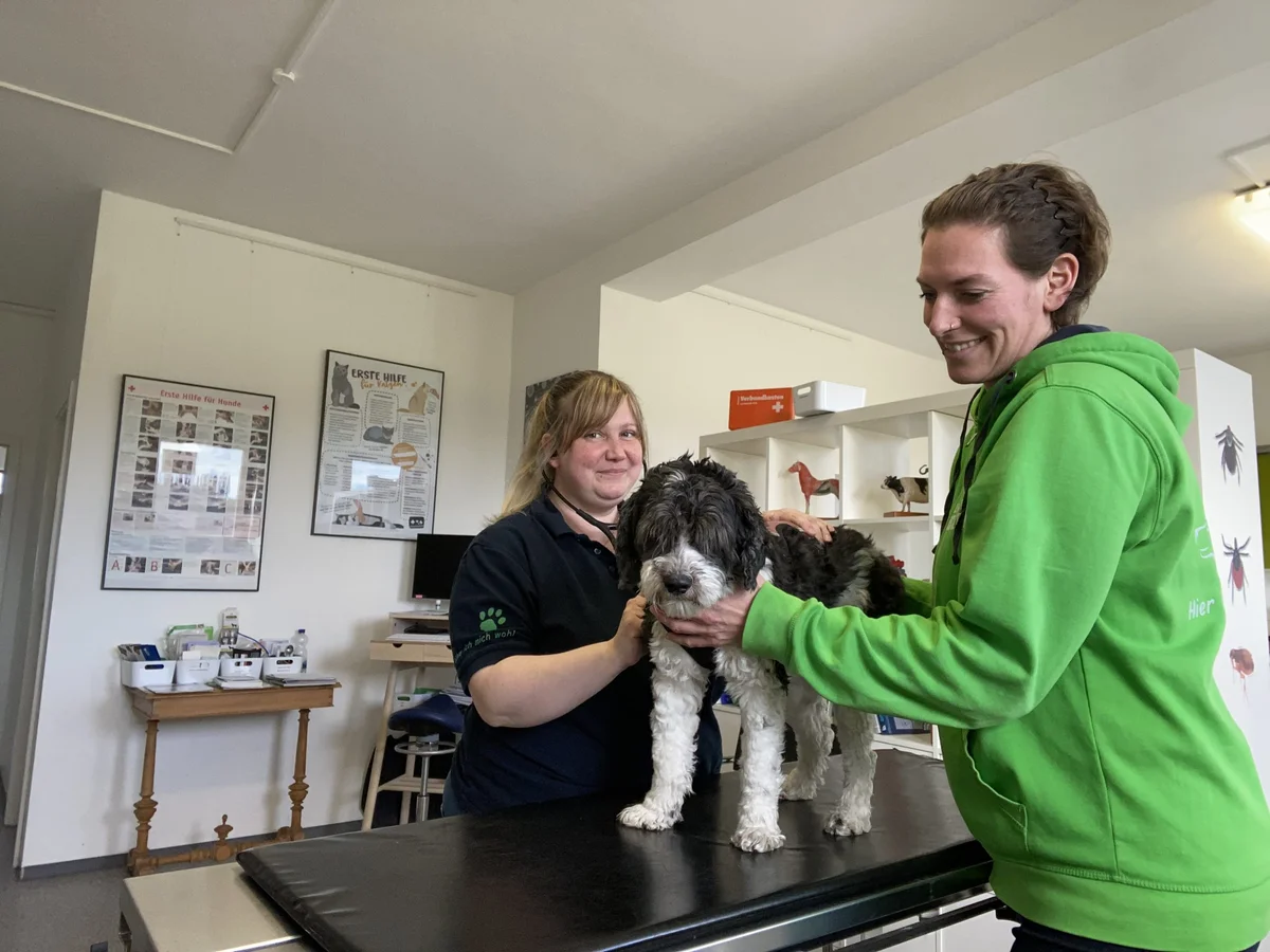 Kleintierpraxis Osterseen