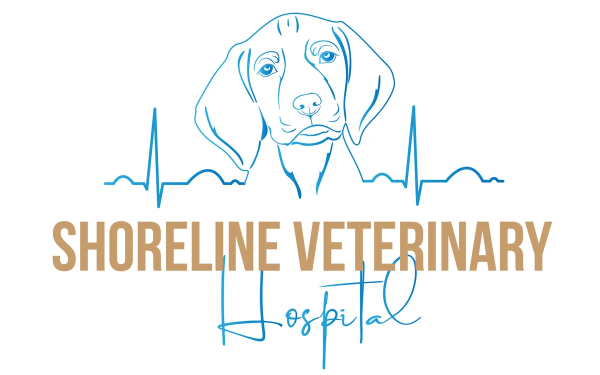 Shoreline Veterinary Clinic