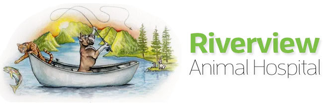 Riverview Animal Hospital