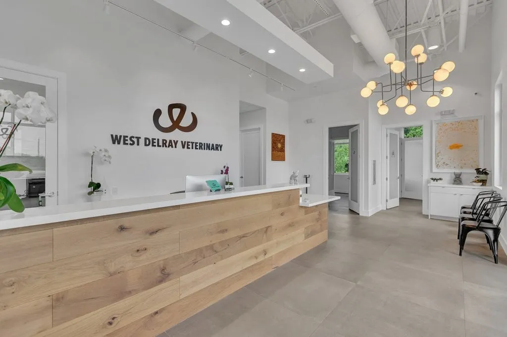 West Delray Veterinary