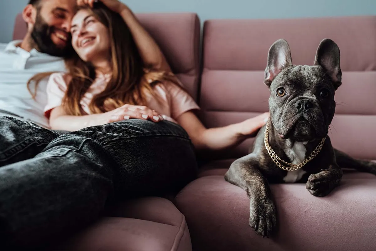 Pet Care Center Chalmette