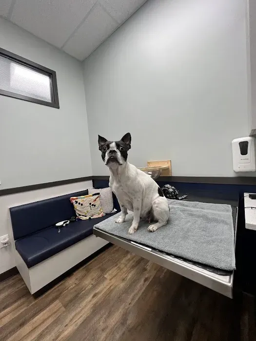 Aloha Veterinary Hospital