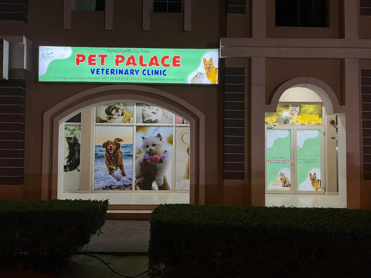 Pooch Palace