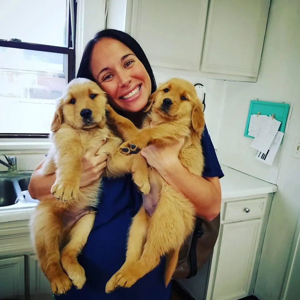 Animals R Special Veterinary Hospital