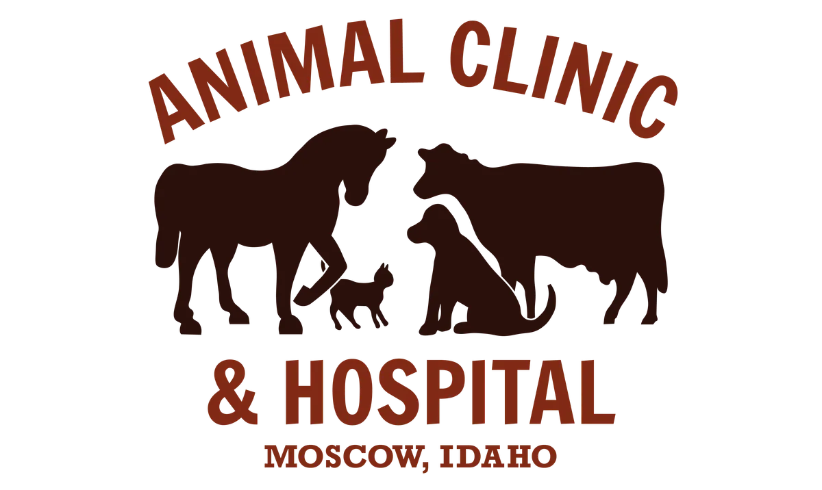 All Friends Animal Hospital