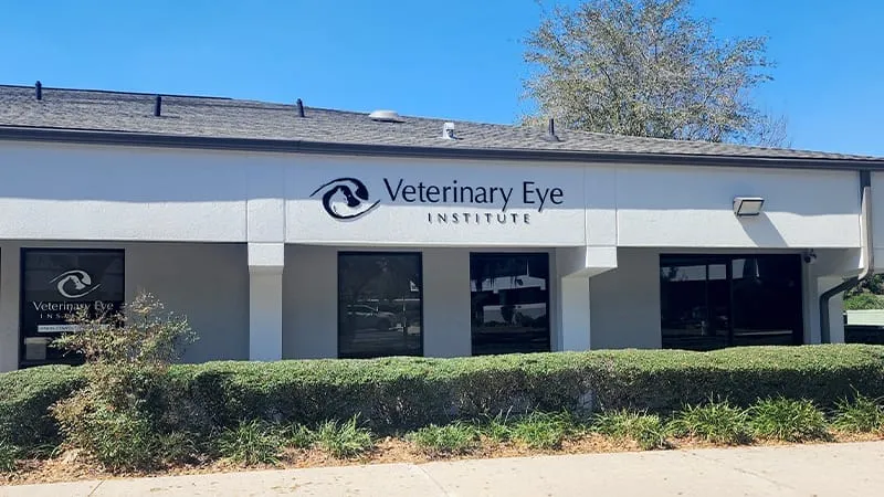 Veterinary Eye Institute Ocala