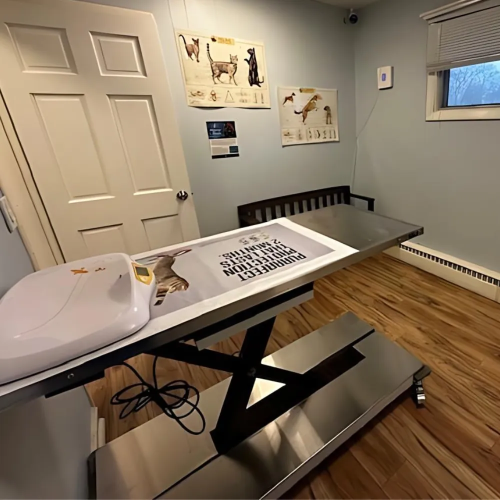 Airport Animal Hospital