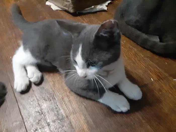 PetVax Complete Care Centers - Cordova