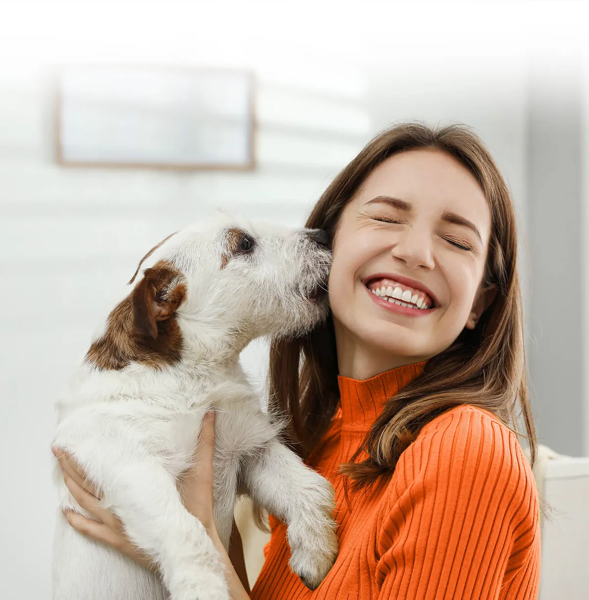 VIP Petcare Wellness Center